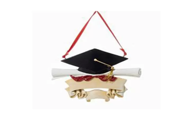 Simply Christmas Graduate Cap And Scroll* Occupations